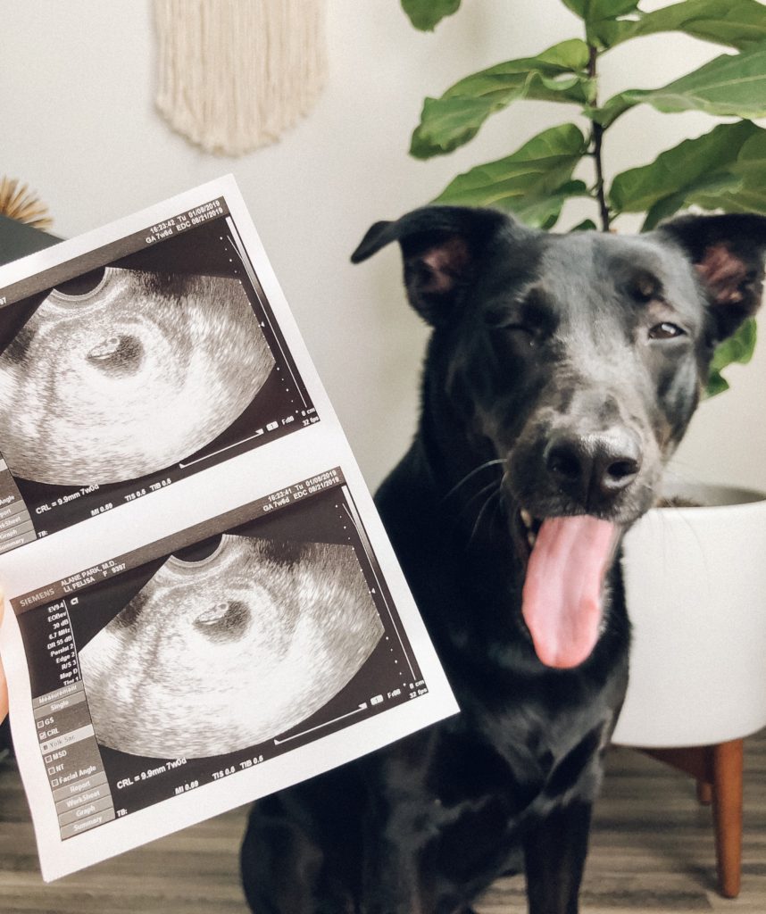 Pregnancy Announcement