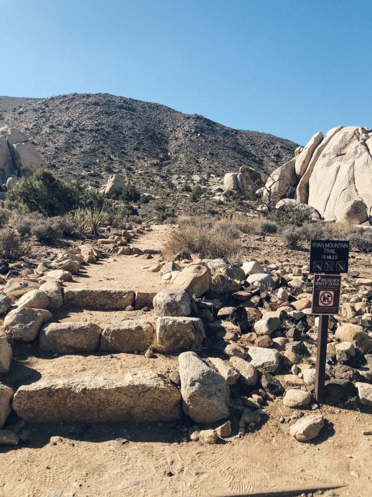 Joshua Tree Hiking