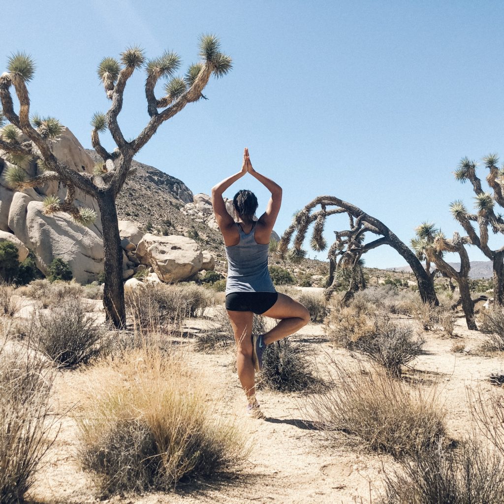 Joshua Tree National Park