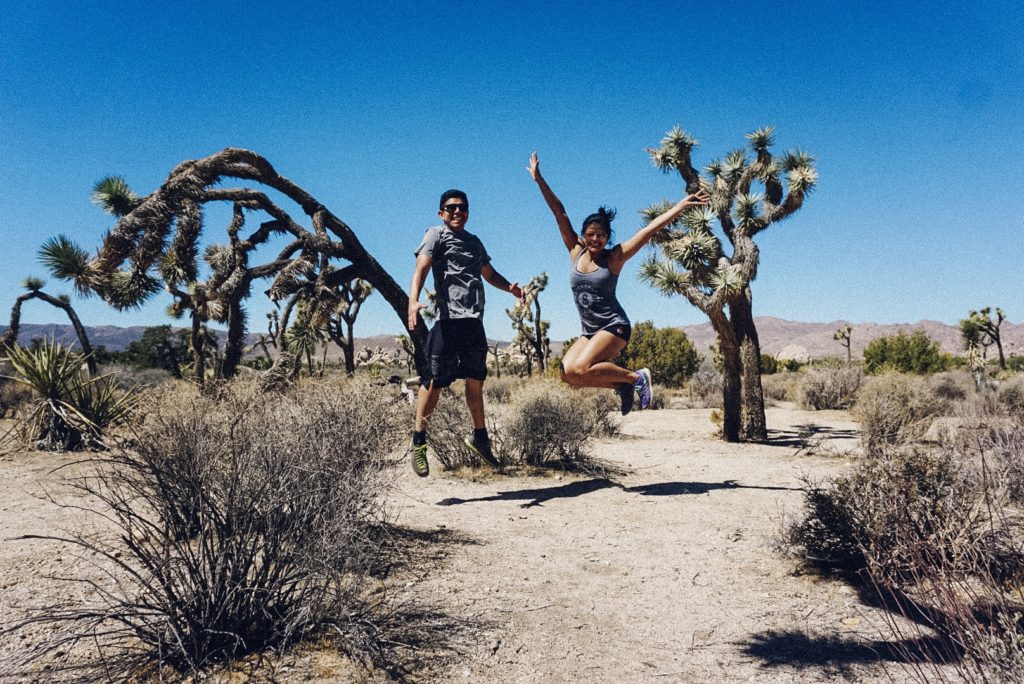 Joshua Tree National Park